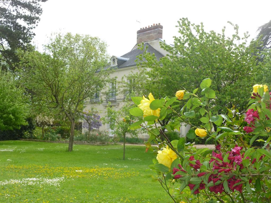Bed and Breakfast Cedre Et Charme Saint-Branchs Zewnętrze zdjęcie